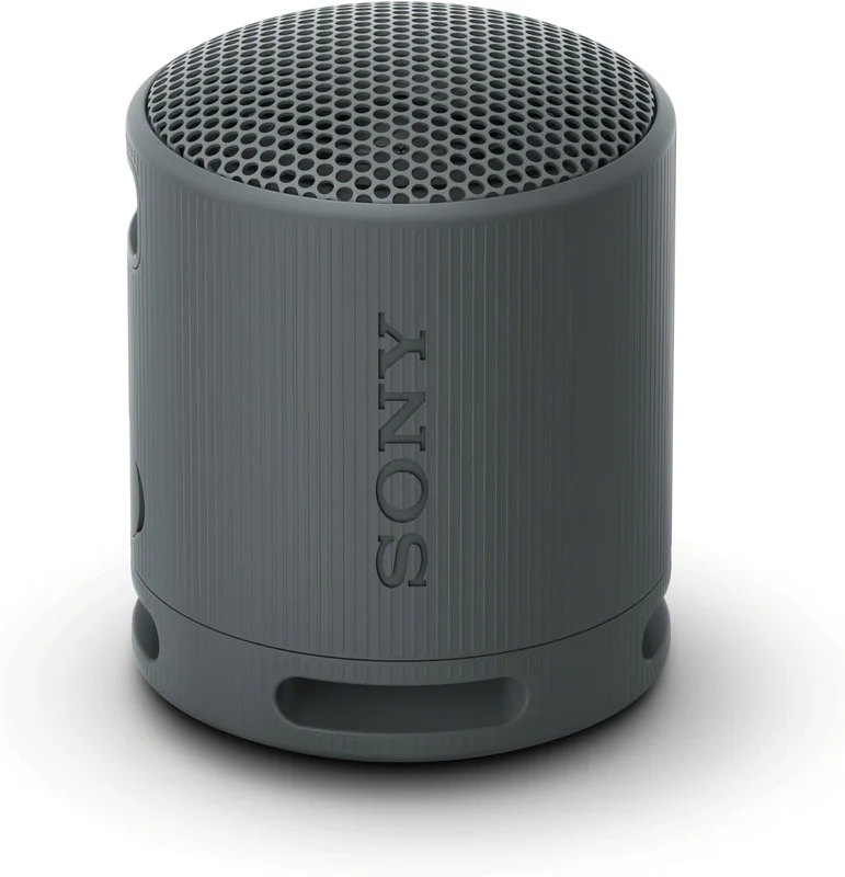 Sony SRS-XB100